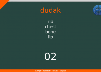 TÜRKÇE – İNGİLİZCE  / TURKISH – ENGLISH  Test – Şıklı (Vücudun Bölümleri – Parts Of The Body)