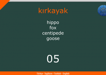 Hayvanlar – Animals (2) İNGİLİZCE – TÜRKÇE / ENGLISH – TURKISH Test – Quiz