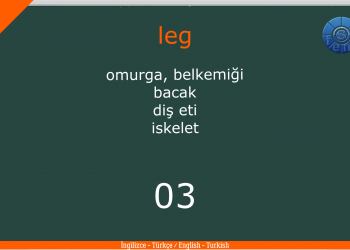 Parts Of The Body – Vücudun Bölümleri (ING – TR) Soru – Cevap