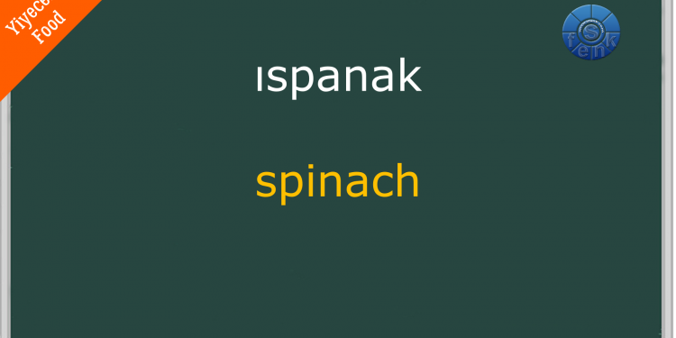 YİYECEK  – FOOD (1) / Test  – Quiz/ Soru Cevap / (Türkçe – İngilizce / Turkish – English)