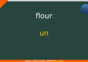 FOOD – YİYECEK (2) / Quiz – Test / Soru Cevap / (İngilizce – Türkçe / English – Turkish)
