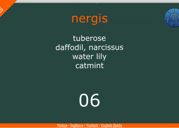 ÇİÇEKLER – FLOWERS –  / Quiz – Test / Şıklı / (Türkçe – İngilizce / Turkish – English)