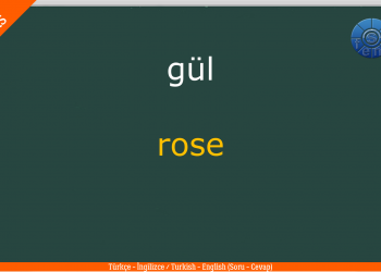 ÇİÇEKLER – FLOWERS –  / Quiz – Test / Soru – Cevap / (Türkçe – İngilizce / Turkish – English)