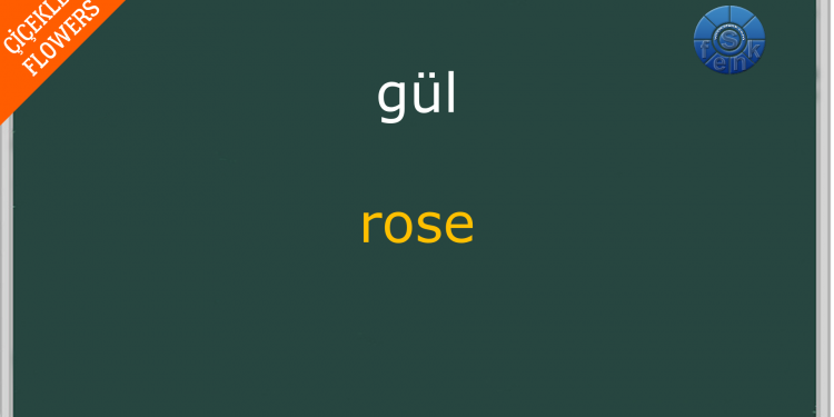 ÇİÇEKLER – FLOWERS –  / Quiz – Test / Soru – Cevap / (Türkçe – İngilizce / Turkish – English)