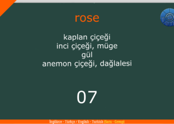 FLOWERS – ÇİÇEKLER / Quiz – Test / Şıklı / (İngilizce – Türkçe / English – Turkish)
