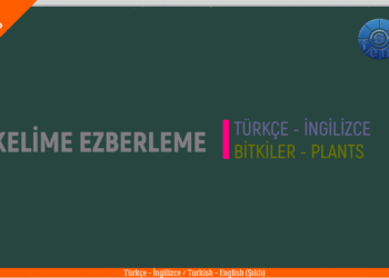 BİTKİLER – PLANTS –  / Test – Quiz / Şıklı / (Türkçe – İngilizce / Turkish – English)