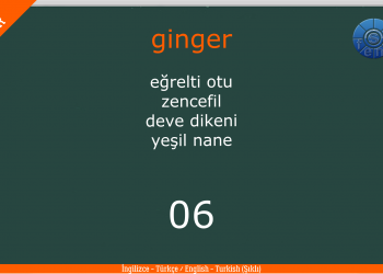 PLANTS – BİTKİLER / Quiz – Test / Şıklı / (English – Turkish / İngilizce – Türkçe)