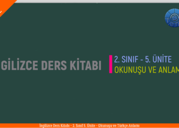 İNGİLİZCE 2. SINIF 5. ÜNİTE Ders Kitabı İngilizce Kelimelerin Okunuşu ve Anlamları (Tamamı)
