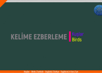 KUŞLAR – BIRDS / A’dan Z’ye / (Türkçe  – İngilizce / Turkish – English)