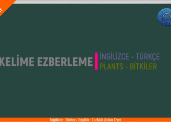 PLANTS  – BİTKİLER / A’dan Z’ye / (English – Turkish / İngilizce – Türkçe)