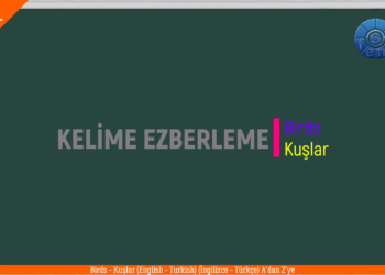 BIRDS  – KUŞLAR / A’dan Z’ye / (English  – Turkish / İngilizce – Türkçe)